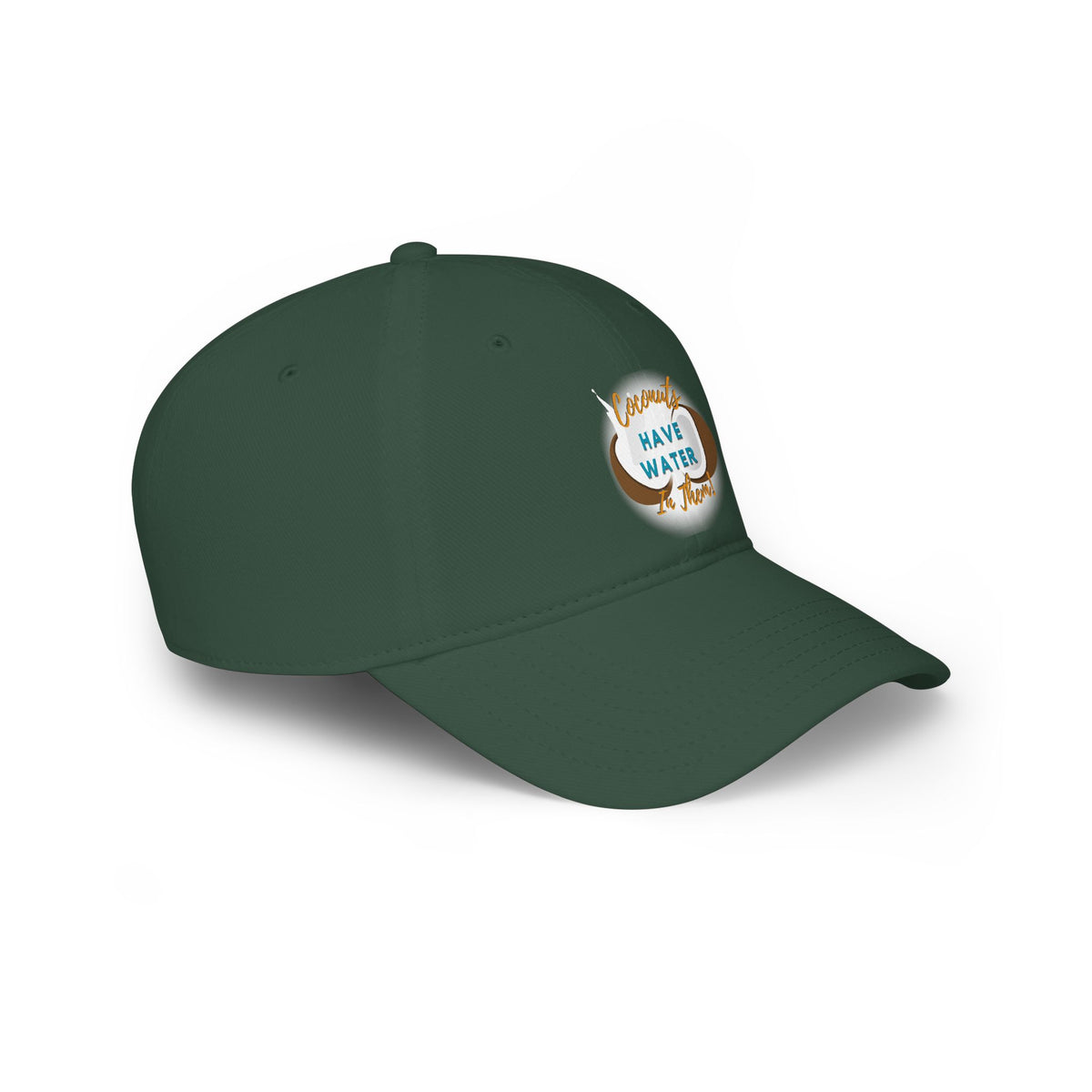 "Coconuts have Water in Them!" Low Profile Baseball Cap