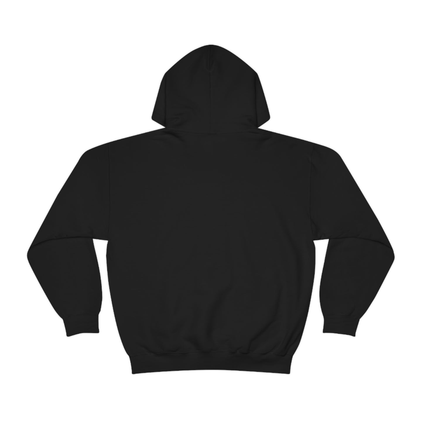 Dinosaur Hoodie, Rainbow Dinosaur,