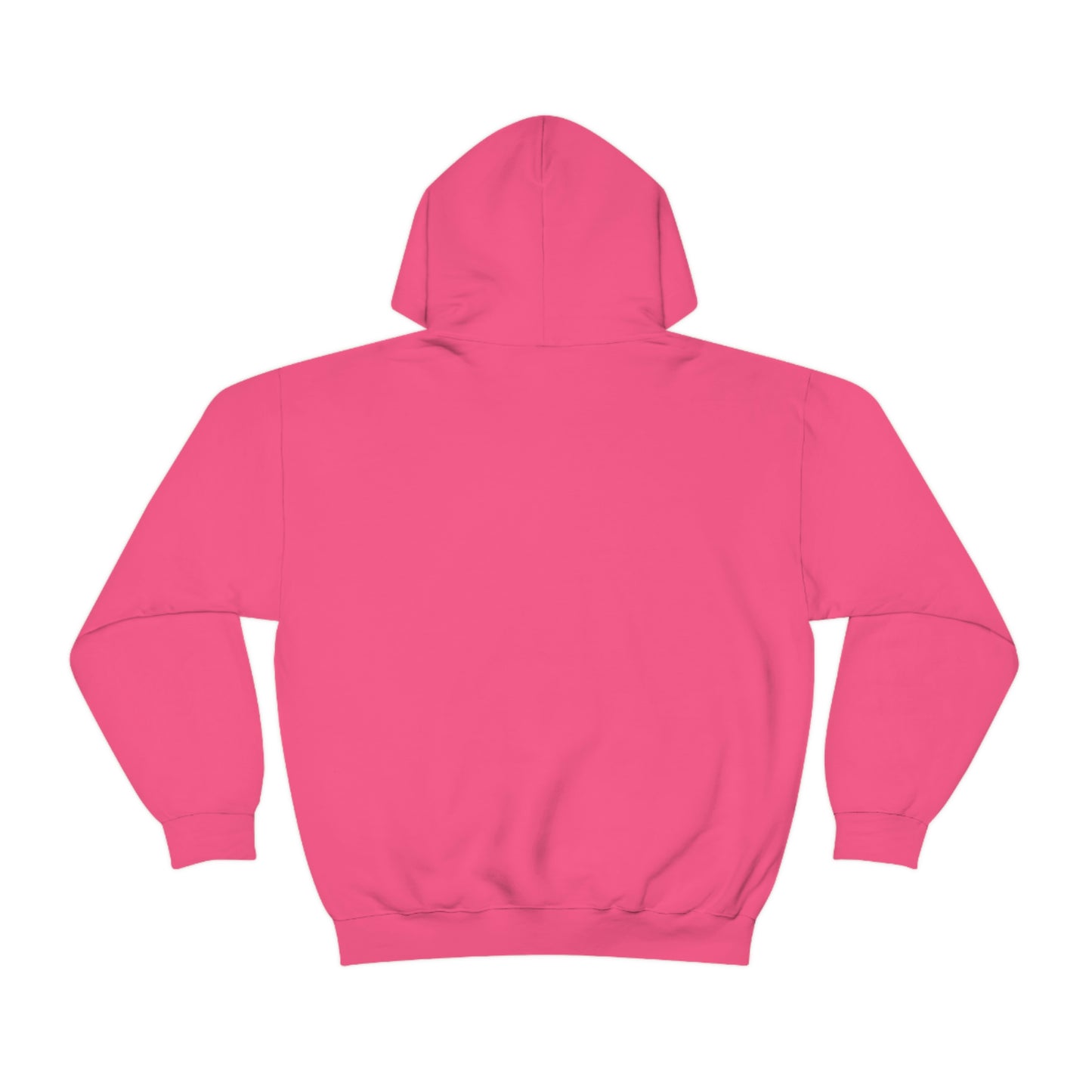 Dinosaur Hoodie, Rainbow Dinosaur,