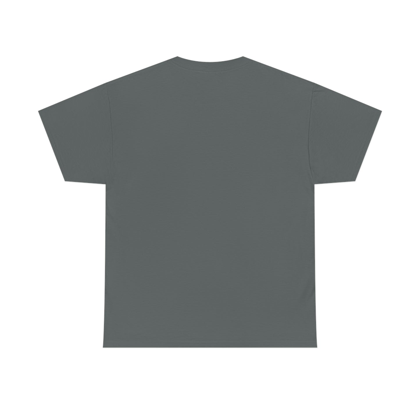 Dinosaur T-shirt, Rainbow Dinosaur, , Family Tshirts,