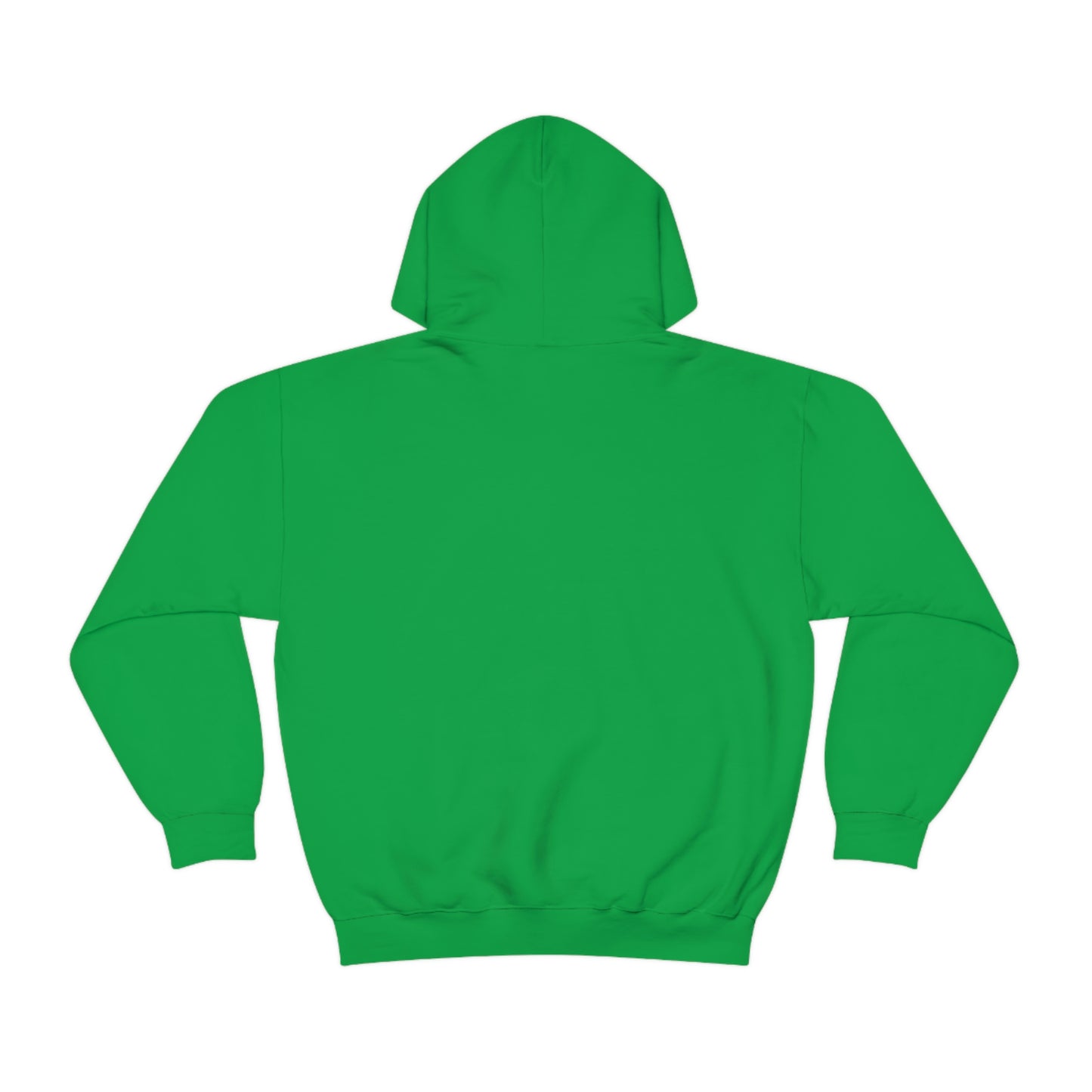 Dinosaur Hoodie, Rainbow Dinosaur,