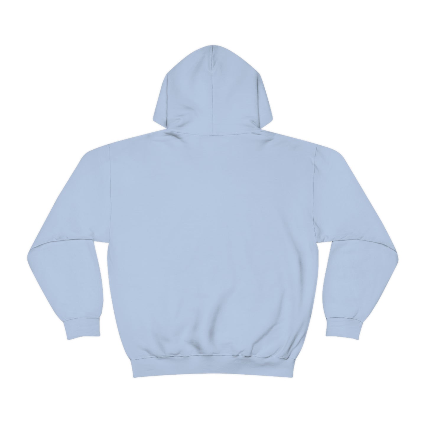 Dinosaur Hoodie, Rainbow Dinosaur,