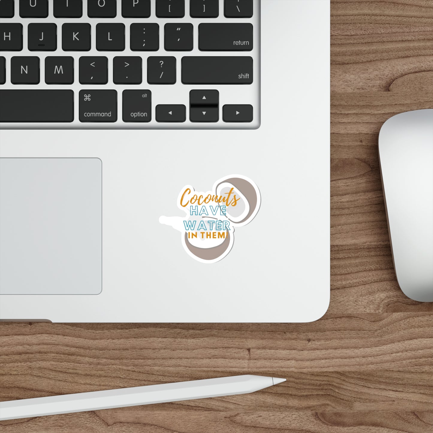 Bluey Quote, Coconuts have Water in Them. Die-Cut Stickers