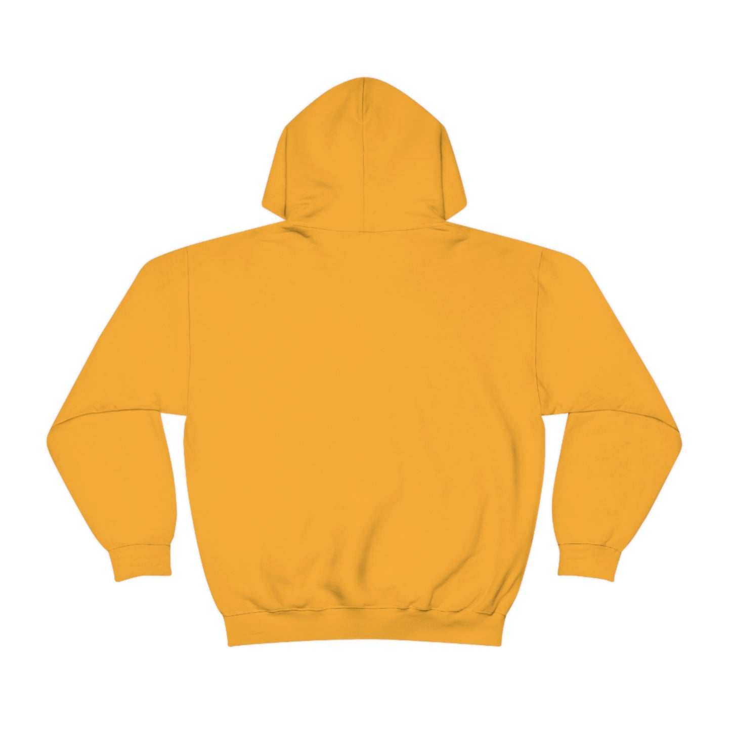 Dinosaur Hoodie, Rainbow Dinosaur,