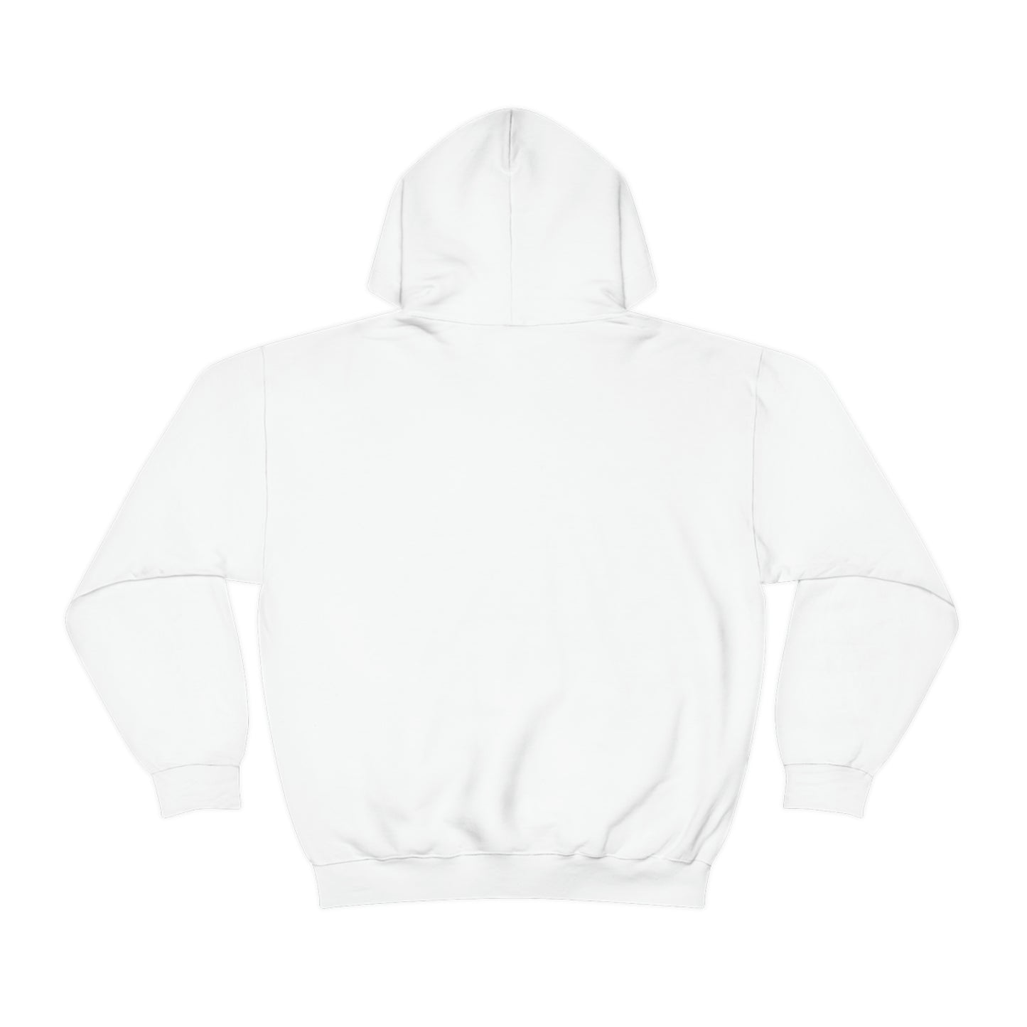 Dinosaur Hoodie, Rainbow Dinosaur,