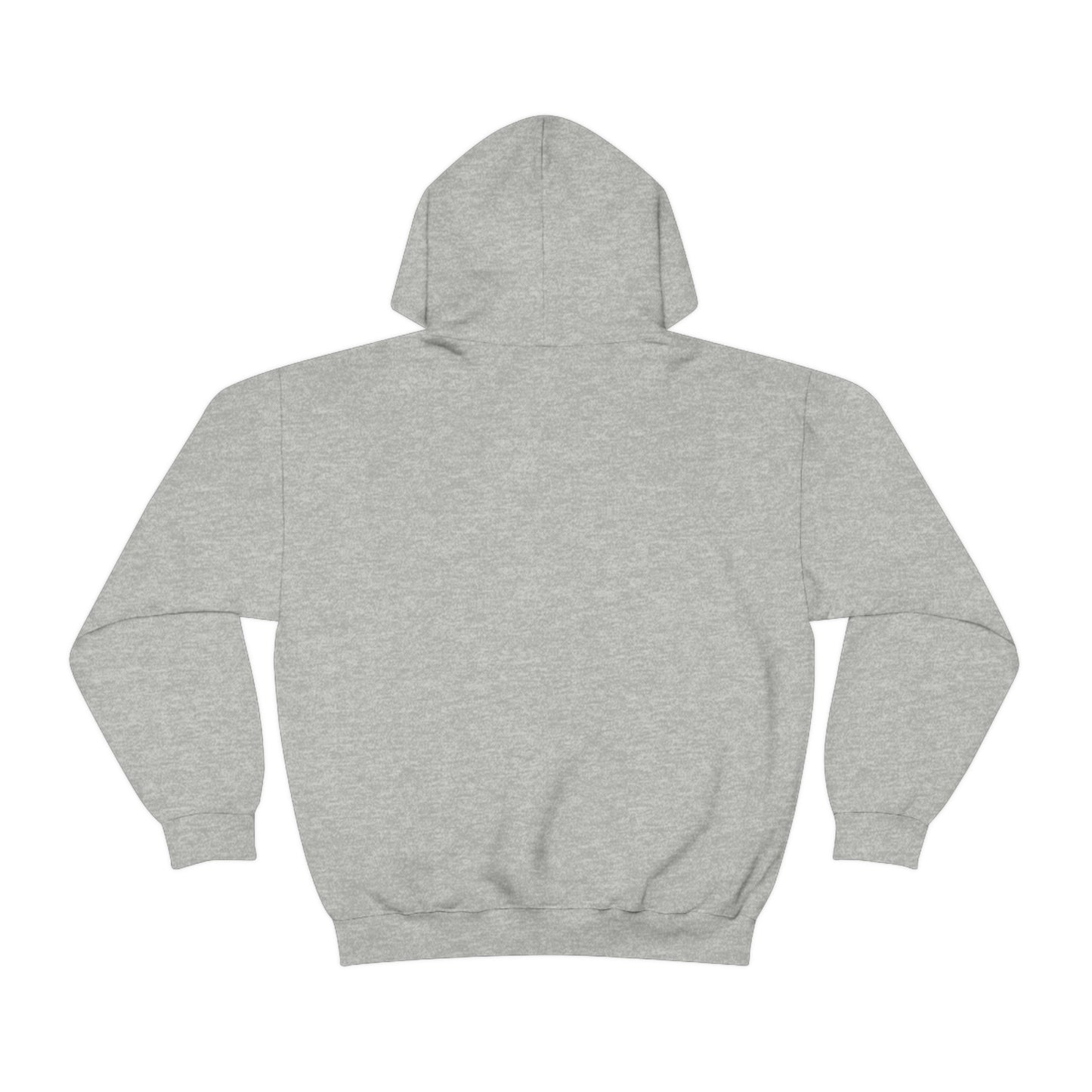 Dinosaur Hoodie, Rainbow Dinosaur,