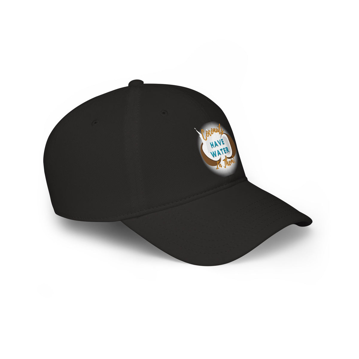 "Coconuts have Water in Them!" Low Profile Baseball Cap