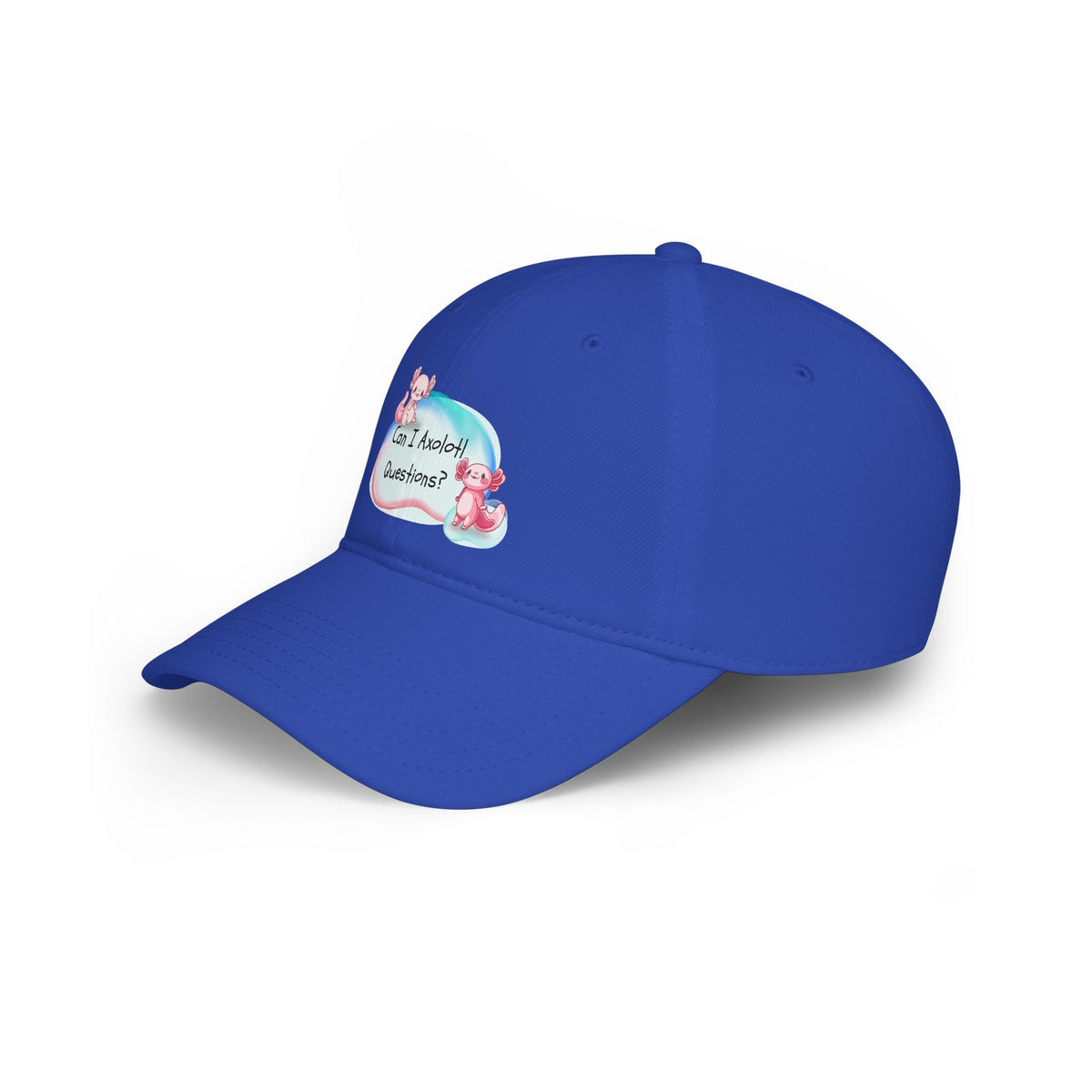 Axolotl, Can I Axolotl Questions? Low Profile Baseball Cap