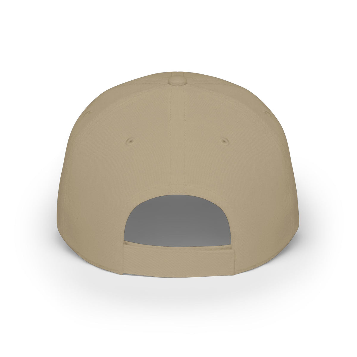 Record Loving Dinos- Low Profile Baseball Cap