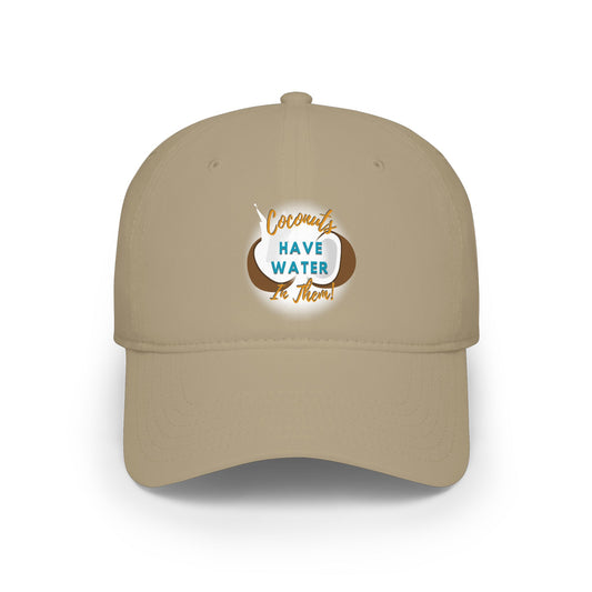 "Coconuts have Water in Them!" Low Profile Baseball Cap