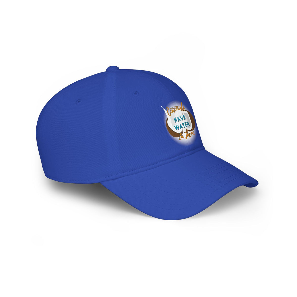 "Coconuts have Water in Them!" Low Profile Baseball Cap