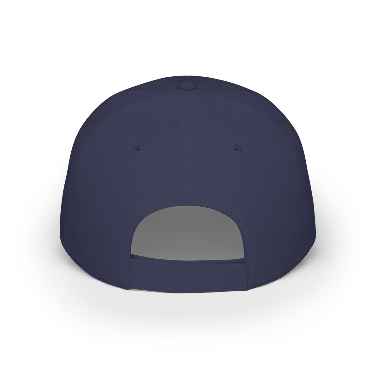 Axolotl, Can I Axolotl Questions? Low Profile Baseball Cap