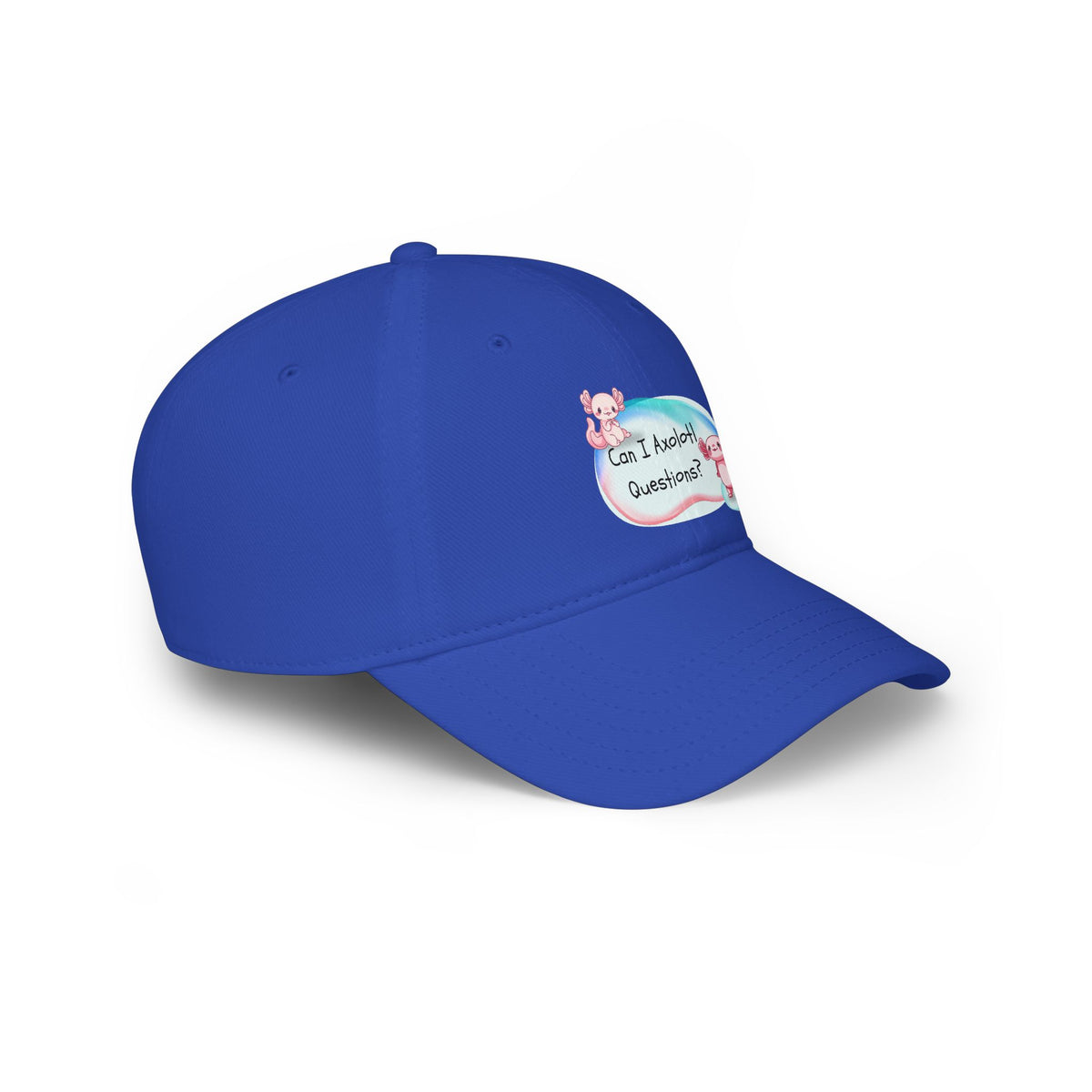 Axolotl, Can I Axolotl Questions? Low Profile Baseball Cap