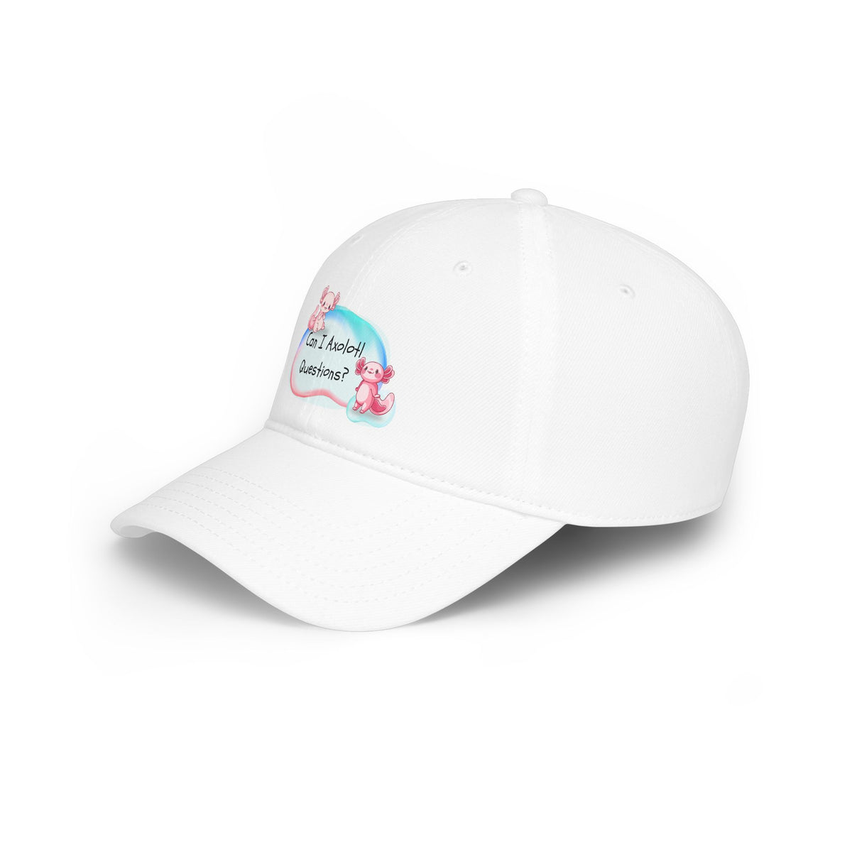 Axolotl, Can I Axolotl Questions? Low Profile Baseball Cap