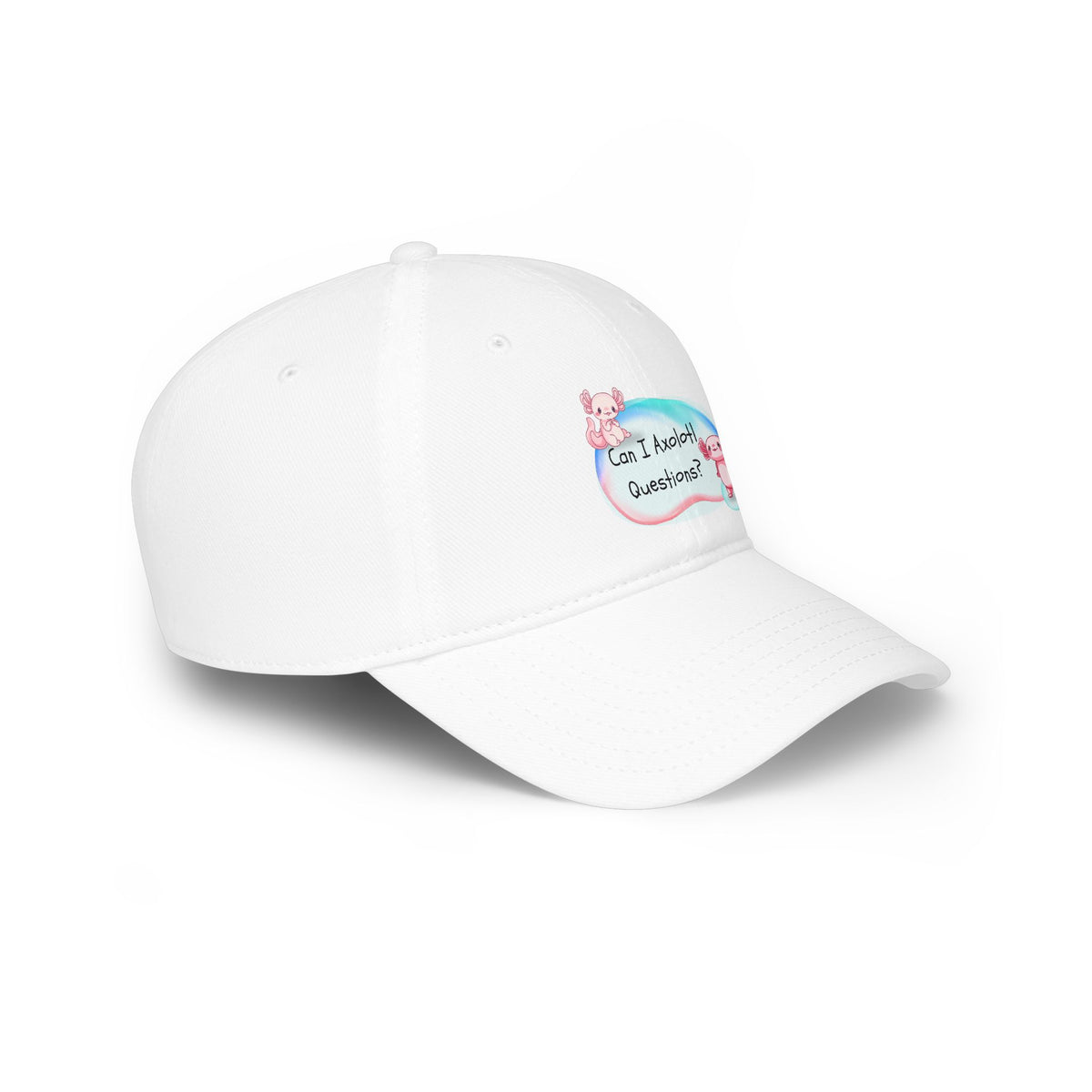 Axolotl, Can I Axolotl Questions? Low Profile Baseball Cap