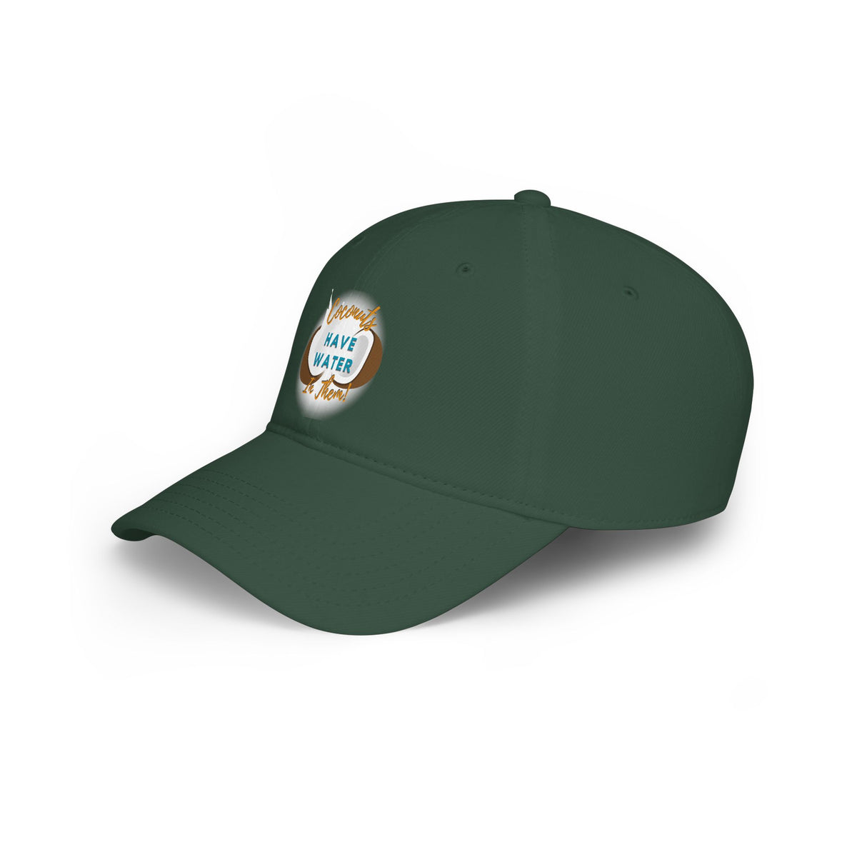 "Coconuts have Water in Them!" Low Profile Baseball Cap
