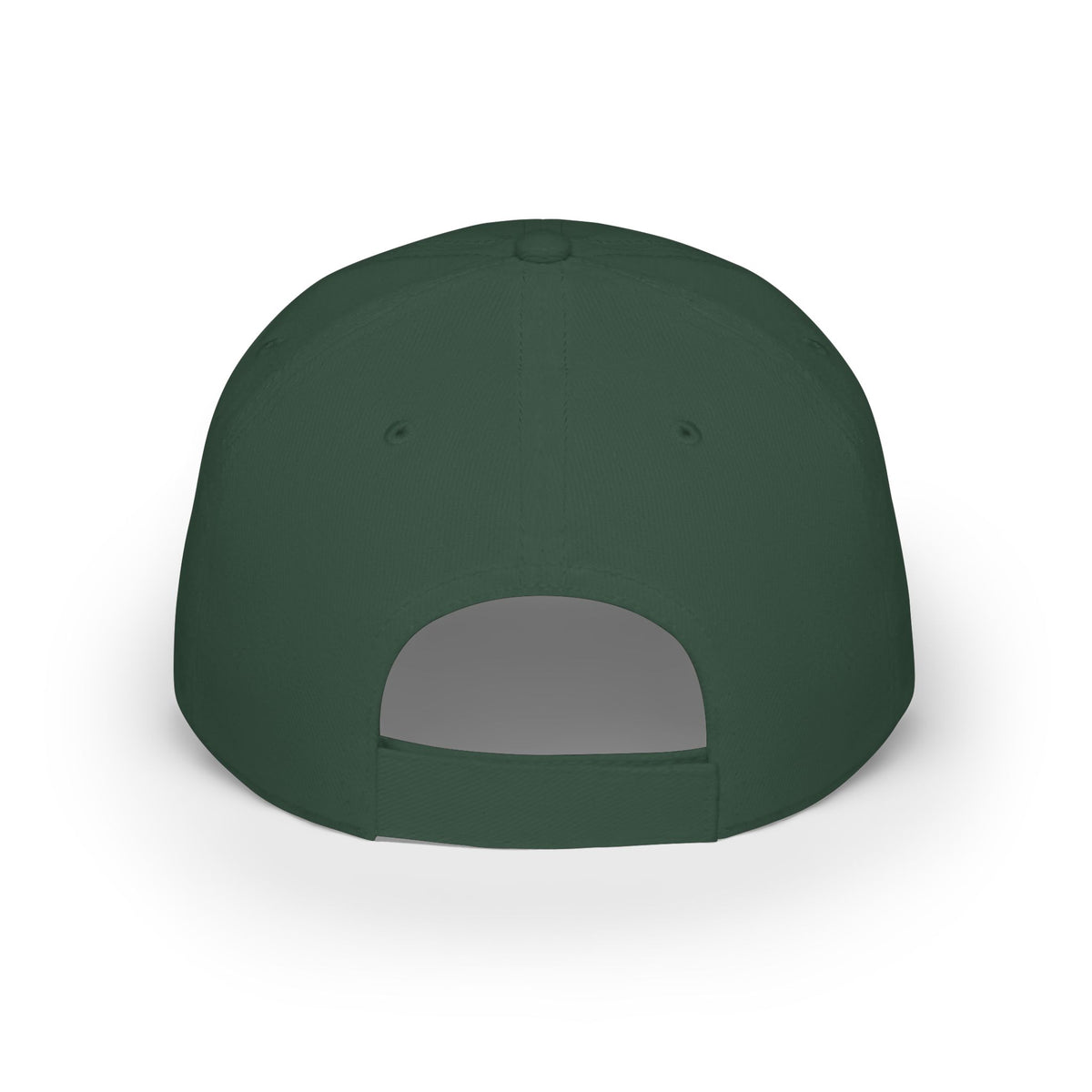 Record Loving Dinos- Low Profile Baseball Cap