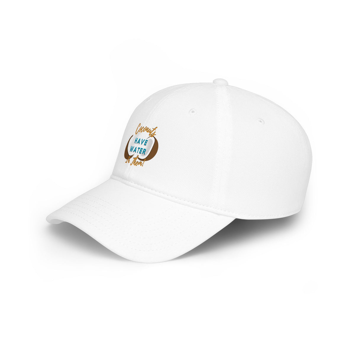 "Coconuts have Water in Them!" Low Profile Baseball Cap